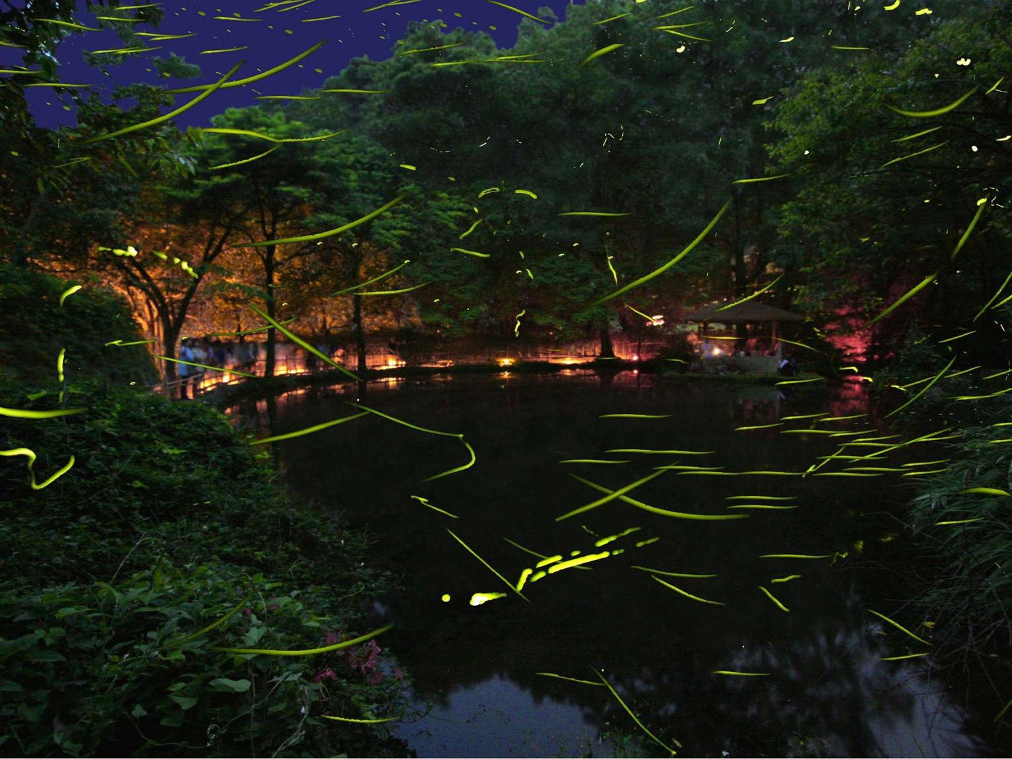 Izu Katase Onsen Ayumitei Fukumatsuso Higashiizu Exterior foto
